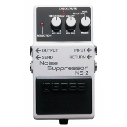 Boss NS 2
